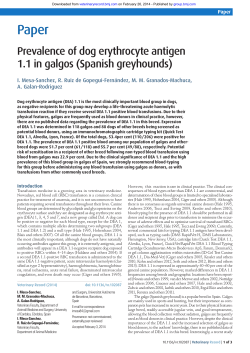 Prevalence of dog erythrocyte antigen 1.1 in galgos (Spanish