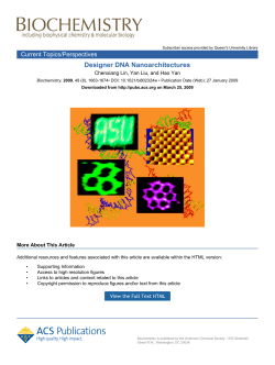 Designer DNA Nanoarchitectures