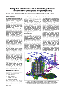 Mining Rock Mass Models