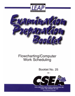 Flowcharting/Computer Work Scheduling