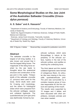 Some Morphological Studies on the Jaw Joint of the Australian