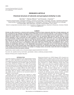 Chemical structure of odorants and perceptual similarity in ants