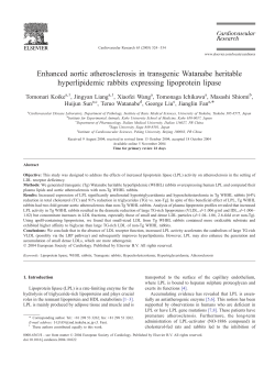 Enhanced aortic atherosclerosis in transgenic Watanabe heritable