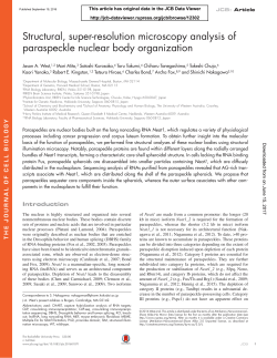 Structural, super-resolution microscopy analysis of paraspeckle