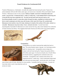 Fossil Evidence for Continental Drift