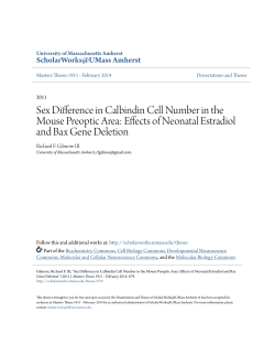 Sex Difference in Calbindin Cell Number in the Mouse Preoptic Area