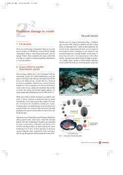 Coral Reefs of Japan