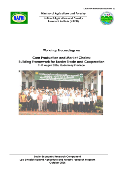 Corn Production and Market Chains - Rights