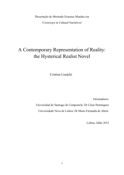 the Hysterical Realist Novel - RUN
