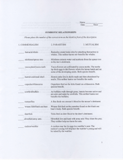 Name SYMBIOTIC RELATIONSHIPS Please place the number of