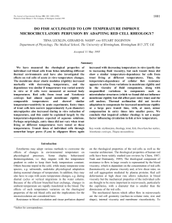 do fish acclimated to low temperature improve microcirculatory