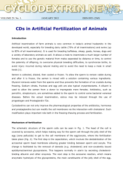 CDs in Artificial Fertilization of Animals
