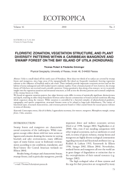 Floristic zonation, vegetation structure, and plant diversity patterns