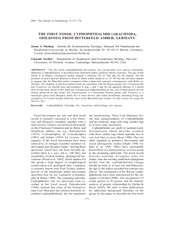 THE FIRST FOSSIL CYPHOPHTHALMID (ARACHNIDA, OPILIONES