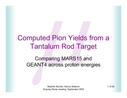 Computed Pion Yields from a Tantalum Rod Target