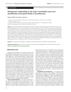 Phylogenetic relationships in the order Cucurbitales