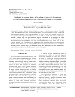 Full Text - IDOSI Publications