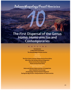 The First Dispersal of the Genus Homo: Homo erectus and