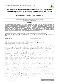 An Improved Regeneration System of Oriental Lily Hybrid from