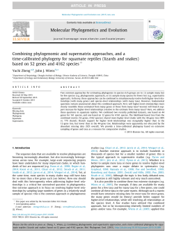 Combining phylogenomic and supermatrix approaches