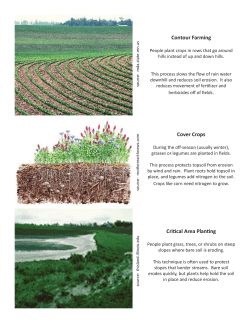Contour Farming Cover Crops Critical Area Planting