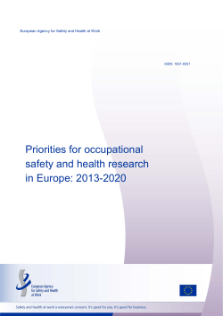 Priorities for OSH research in Europe: 2013-2020