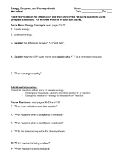 Energy/Enzymes/ Photosynthesis Worksheet