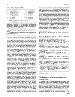 The human reg gene encodes pancreatic stone protein