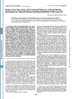Endocytosis, Recycling, and Lysosomal Delivery of Brush Border