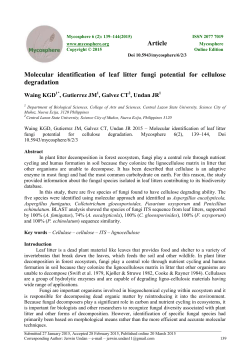 Molecular identification of leaf litter fungi potential for cellulose