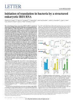 Initiation of translation in bacteria by a structured eukaryotic IRES RNA