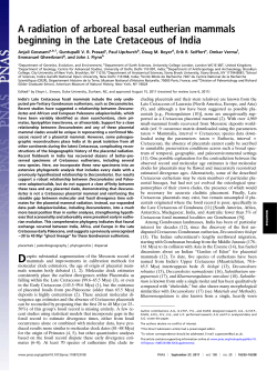 A radiation of arboreal basal eutherian mammals