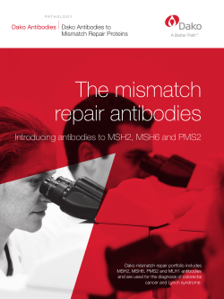The mismatch repair antibodies