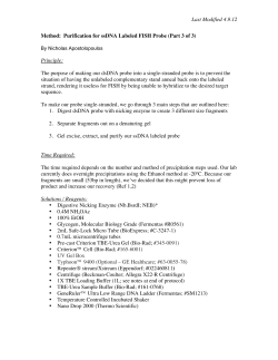 Last Modified 4.9.12 Method: Purification for ssDNA Labeled FISH