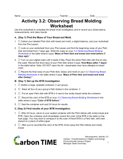 Activity 3.2: Observing Bread Molding Worksheet