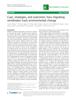 Cues, strategies, and outcomes: how migrating vertebrates track