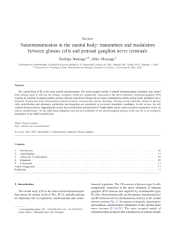Neurotransmission in the carotid body: transmitters and