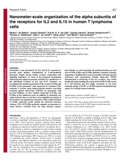Nanometer-scale organization of the alpha subunits of the receptors