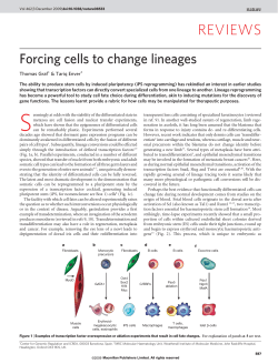 Forcing cells to change lineages