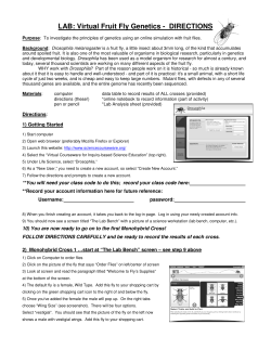 LAB: Virtual Fruit Fly Genetics