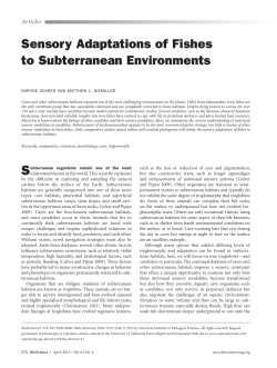 Sensory Adaptations of Fishes to Subterranean