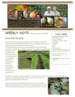 THIS WEEK - One Step at a Time Gardens