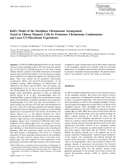 Rabl`s model of the interphase chromosome arrangement tested in