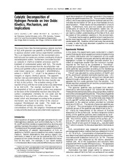 Catalytic Decomposition of Hydrogen Peroxide on Iron Oxide