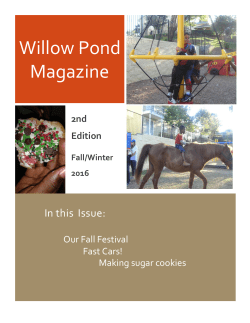 The Fall Festival - Behind Every Door