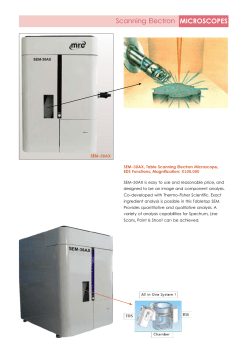 MICROSCOPES Scanning Electron