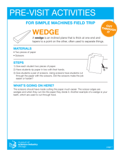 PRE-VISIT ACTIVITIES