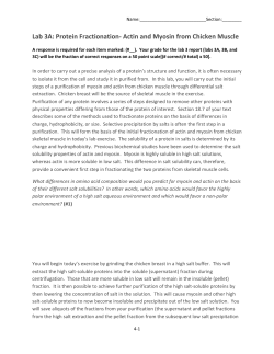 Lab 3A: Protein Fractionation- Actin and Myosin from Chicken Muscle