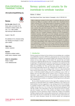 Nervous systems and scenarios for the invertebrate-to