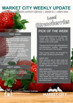 Market City Weekly Update